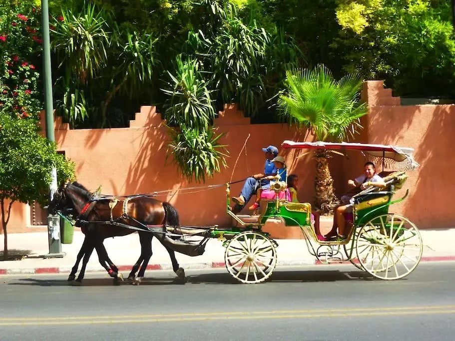 Palm Splendor - Marrakech Apartment Marrakesh Morocco